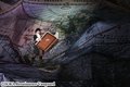 THE NEW WORLD 18